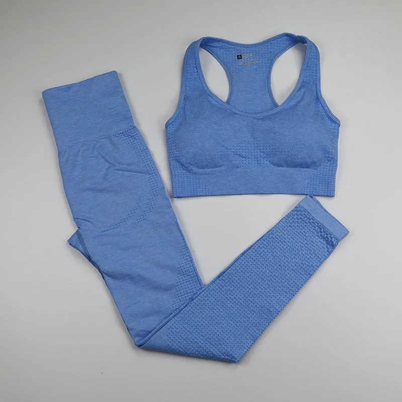 12 Colors Ombre Seamless Yoga Set with Long Sleeve Shirt